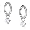 Limerencia G23 Titanium Hoops Rook Piercing Jewelry 6mm 8mm 16G 18G Implant Grade Titanium Dangle Huggie Rook Earrings Cartilage/Conch/Daith/Helix Piercing Stacking Rings for Women Men Sensitive Ears