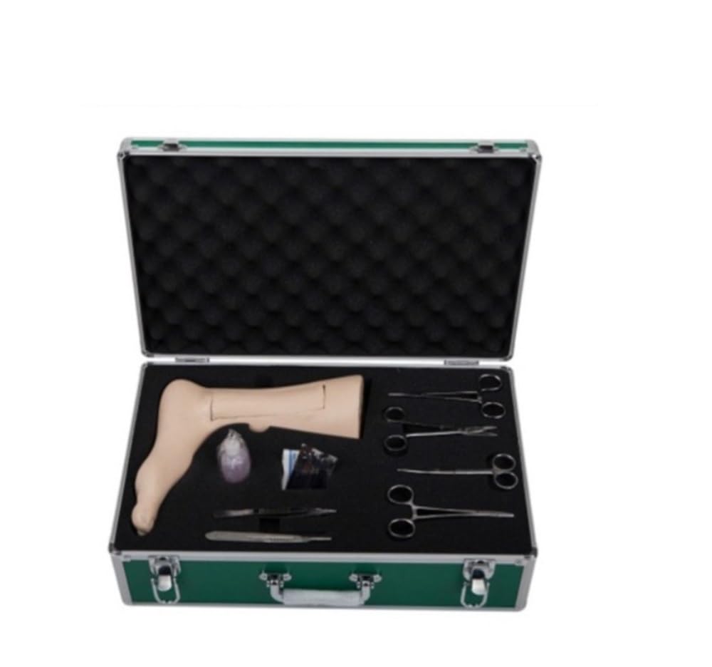 Modelo de corte de venas de pierna simulada con gran módulo de vena safena para entrenamiento médico, estudio de anatomía y práctica quirúrgica