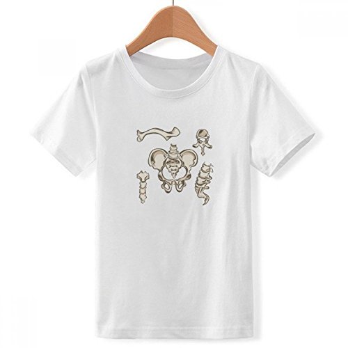T-shirt col rond HuSkeleton DIYthinker blanc en taille M pour garcon