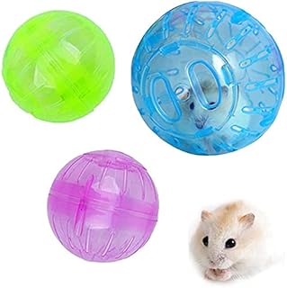 extra large hamster ball