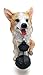 MONMOB Dog Solar Statues Cute Corgi Solar Light for Outdoor Garden Halloween Decorations Christmas Decor Lawn Decor Patio Balcony Yard Ornament Ideal Gifts for Women, Mom or Birthdays