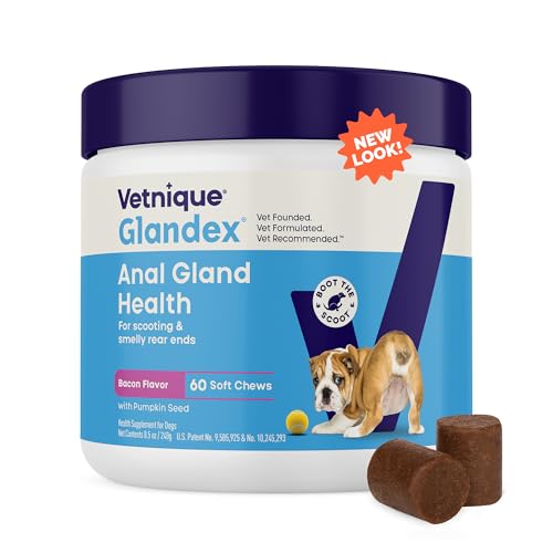 Vetnique Labs Glandex Anal Gland Soft Chew Treats with Pumpkin for Dogs Digestive Enzymes, Probiotics Fiber Supplement for Dogs Boot The Scoot (Bacon/Pork Chews, 60 Count)