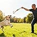Aakluk 2 Stück Im Dunkeln Leuchtender Hundeball | Leuchtende Gummibälle Mit Seil Für Hunde Hüpfbälle | Interaktives Kauspiel Für Kleine, Große Und Mittelgroße Hunde, Leuchtet
