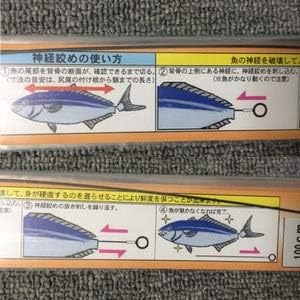 吉見 Edison Shape Memory Alloy Nerve Cinch Freshness tamotu You 1.2-50 cm