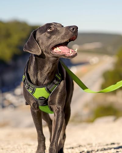 Joytale Hundegeschirr mittelgroße Hunde, reflektierendes Geschirr Hund,luftdurchlässige Hundegeschirr, verstellbares Brustgeschirr mit Griff beim Führen und Training, Grün, M