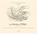 Handel: Aminta e Fillide