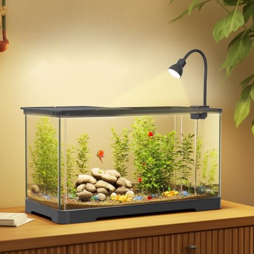 Aquarium Komplettset mit LED-Beleuchtung, Filtersystem, 18L Fischtank mit Wasserpumpe, 40x22x23cm Glasbecken mit Deckel, Heim Bürodekoration tropischeAquarien für Betta Fische Wasserpflanzen