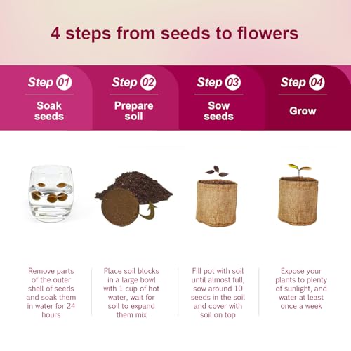 Herbsy 5 Indoor Flower Growing Kit, Complete Planting Starter Set with Sunflower, Zinnia, Marigold, Cosmos, Cornflower Seeds, Unique Birthday and Christmas Gifts for Women, Men, Plant Lovers — view 5