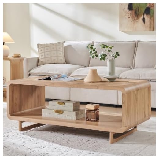 48" Minimalist 2-Tier Coffee Table