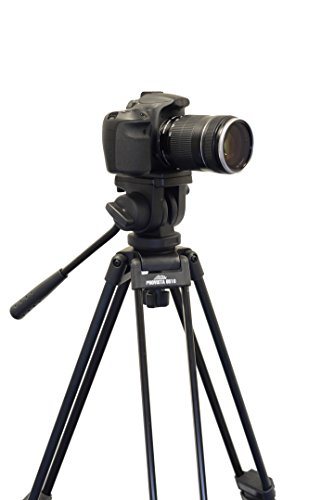 Davis & Sanford Provista6510 Provista65 Tripod With V10 Head For Cameras,Black #TOP1