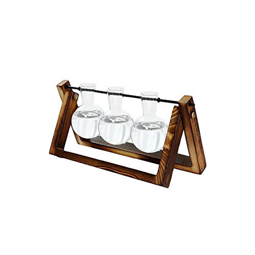MEYANG Floreros De Vidrio, Jarrón Decorativo para Sala De Estar, con Soporte Retro De Madera Y Florero De Vidrio para Plantas Hidropónicas, Decoración De Escritorio para El Hogar