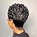 VRZ Short Curly Pixie Cut Human Hair Wigs for Black Women Pixie Cut Wig Human Hair Glueless Layered Brazilian Virgin Black Color No Glue Wig for Daily Use