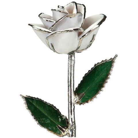 Allmygold 11" Snow White Platinum Dipped Real Rose Cover