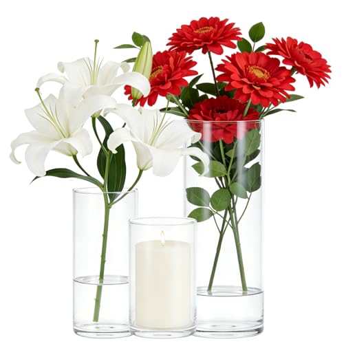 【Materiale di Alta Qualità】Questi vasi sono realizzati in vetro borosilicato ad alto tenore di carbonio, che offre un'eccellente resistenza agli urti e durevolezza. Non si rompono o danneggiano facilmente durante l'uso quotidiano, rendendoli sicuri e facili da pulire, adatti all'uso ovunque. Il design a bocca larga facilita la pulizia, garantendo che i vasi mantengano la loro bellezza a lungo; è necessaria solo una pulizia regolare