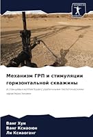 Механизм ГРП и стимуляци 620537093X Book Cover
