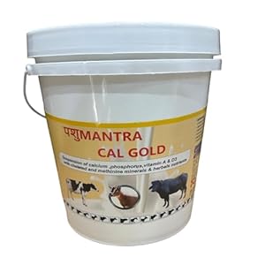 PASHUMANTRA Cal Gold, (1 LTR) Bucket Calcium for Cow, Buffalo, Goat, Sheep, Horse, cat, Dog, Pig, Milk Enhancer for Diary Animals, Vitamins and Minerals, Calcium Veterinary, Chelated Feed Supplement