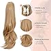 HEWEICSY Ponytail Extension,Hair Extension Ponytail 20