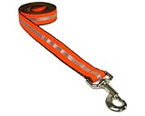Sassy Dog Wear 6-Feet Reflective Orange Dog Leash, Large