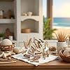 20 Pcs Natural Driftwood Pieces Branch Slices Craft Sticks Beach Decor DIY Craft Supplies #4
