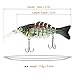 Rose Kuli Bass Fishing Lures - Life Like Topwater Trout Crankbaits Hard Multi Jointed Swimbait Freshwater Catfish Baits