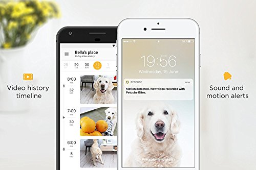 Petcube [2017 Item] Play Smart Pet Camera with Interactive Laser Toy. Remote Dog/Cat Monitoring with HD 1080p Video, Two-Way Audio, Night Vision, Sound/Motion Alerts. App-Enabled Pet and Home Safety - Thumbnail 6