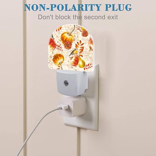 Image of Autumn Fall Pumpkins and Leaves Night Light Plug into Wall with Dusk to Dawn Sensor Cute Nightlight for Kid Girls Boys Women Men Room Decor, Hallway, Kitchen, Bathroom, Nursery, Stairs