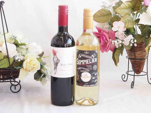 lXɈ`ԔC 2{Zbg(tbeB \G Vhl f X[ Jxl \[Bj) 750ml×2{