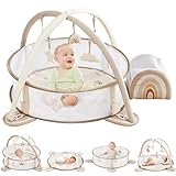Beright 5-in-1 Baby Gym & Play Mat,Play Gym & Ball Pit with Sensory Toys for Newborn Infant Toddler to Develop Motor&Cognition, Balls Included, Rainbow