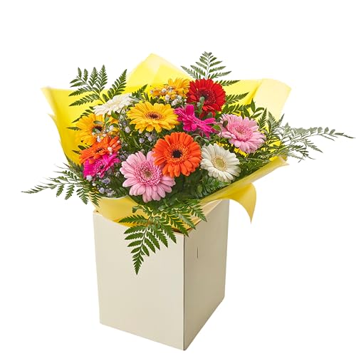 Glamorous Bouquet Vibrant Gerbera Flowers Fresh Floral Delivery for Birthdays, Celebrations, Anniversaries, Get-well, Thank-you Indoor Decoration, Thoughtful Gift for any Occasions