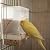 Hypeety Automatic Bird Feeder No Mess Pet Feeder Seed Food Container Perch Cage Accessories for Budgerigar Canary Cockatiel Finch Parakeet