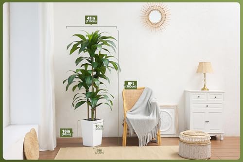 VeriNatural Artificial Dracaena Tree 6FT - Fake Tree with White Taper Planter & Pebbles - UV Resistant Faux Yucca Tropical Plant - Artificial Trees for Home Office Living Room Decor Indoor Outdoor by VeriNatural - Used condition - Image 2