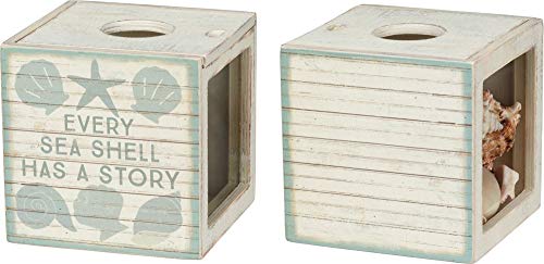 Primitives by Kathy Seashell Holder - Coastal Decor, Glass Display, Treasure Chest, Room and Bedroom Decor - Image 2