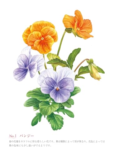 河出書房新社 大人の塗り絵スタートブック 美しい花と風景