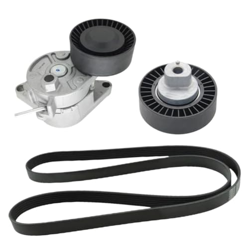 Tendeur de courroie M54 anti-vibration pour BMW E46 E39 E60 X3 X5