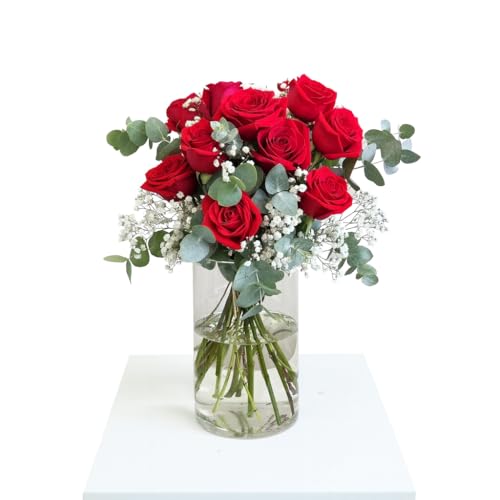 FLORES SOLIDARIAS   Ramos de Flores Naturales Rosas Rojas Paniculata   Ramo Fresco de Calidad para Regalo, San Valentín, Día de la Madre, Bodas, Aniversarios, Cumpleaños y Decoración del Hogar