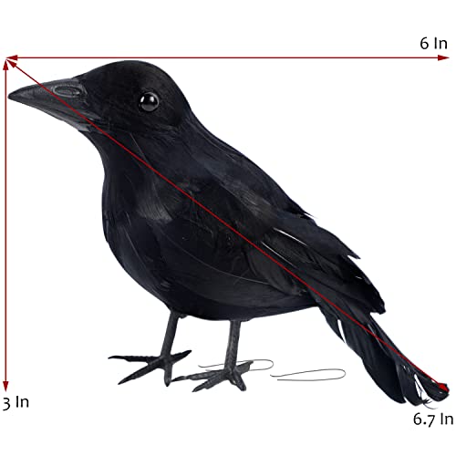 Pájaros de Halloween ATDAWN con plumas negras auténticas para un adorno realista 3