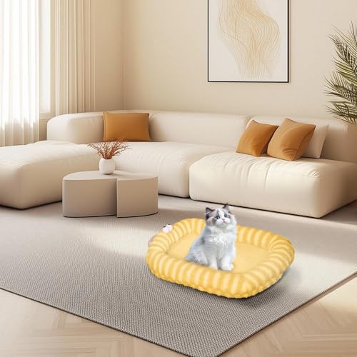 Camas para perros pequeños y gatos lavables sofá de felpa cálido 3