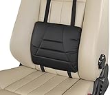 Big Hippo Orthopedic Lumbar...