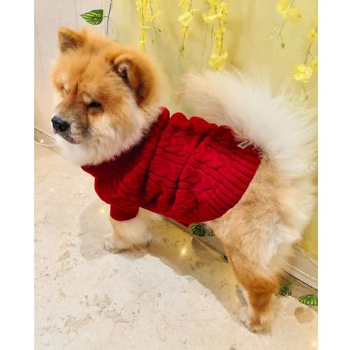 Image of Lulala Dog Sweater for Winter | Warm Knitted Woolen Sweater for Small & Medium Dogs | Cozy Cable Knit Pullover for Pets | Soft & Stretchable Winter Dog Clothes