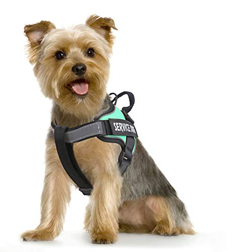 no pull service dog vest