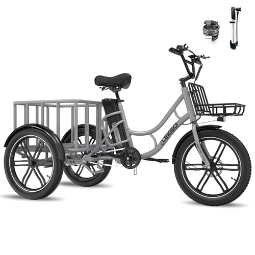 ELEKGO 20 Zoll E Bike Dreirad, 48V 18AH abnehmbare Batterie Tragfähigkeit 200 KG, Fettreifen + hinterer Gepäckkorb und Scheinwerfer, Lastenfahrrad, Elektro-Dreirad für Reichweite bis zu 40-60Km (Gray)