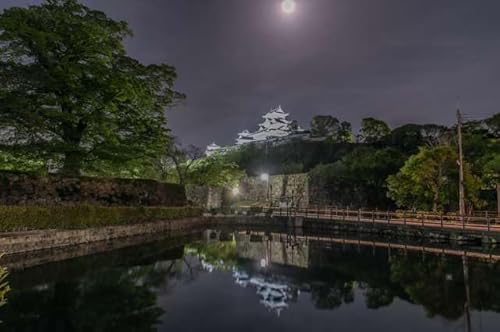 y{i|XgJ[hzɌ PHs ̕PH ͂ tHgJ[hyY photo by daikegoro