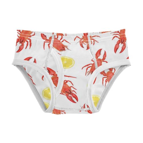 Wusikd Lobsters Boys' Underwear Cotton Lemon Boys Briefs Soft Toddler Underwear 2T