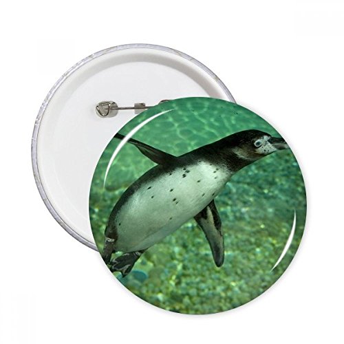 Pins Pingouin Nature Photo en lot de 5 pour customiser vos vêtements