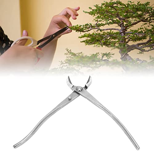 Herramienta Corte Bonsai Basic Inox 21 cm miniatura 1