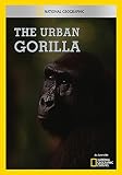 The Urban Gorilla