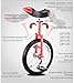 Wheel Unicycle, Single Wheel Balance car for Beginners, Suitable for Street Riding and Performing Stunts(20 Inch)