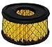 Powermate Vx 019-0279RP Air Filter Element - 1 Piece