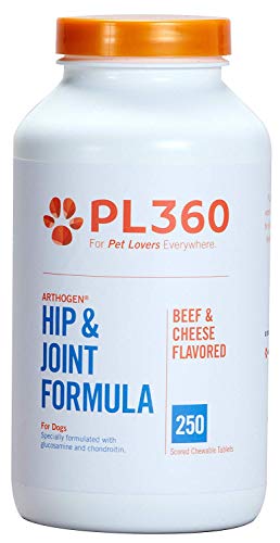 PL 360 Hip and Joint Support, Chewable Supplement For Dogs & Pets | Supports a Healthy Immune System | Arthogen | Natural and Safe Ingredients | Beef and Cheese Flavored | 250 Count