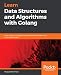 Learn Data Structures and Algorithms with Golang: Level up your Go programming skills to develop faster and more efficient code